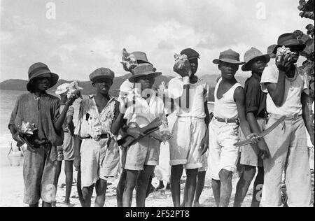 Photos de voyage Caraïbes. Trinidad. Groupe de jeunes vendeurs de coquillages Banque D'Images