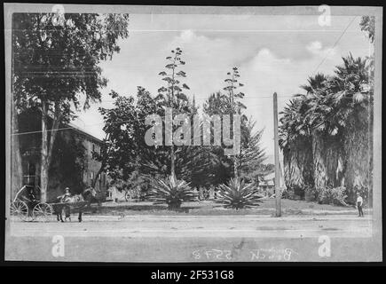 Kalifornien. Palmiers et Palmsin Cali siècle. Banque D'Images