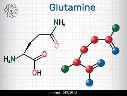 Molécule d'acide aminé glutamine (Gln , Q). Formule chimique structurelle et modèle moléculaire. Feuille de papier dans une cage.Illustration vectorielle Illustration de Vecteur