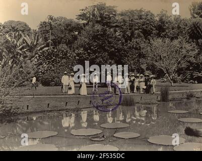 Buitenzorg (Bogor), Java / Indonésie. Jardin botanique (1817, K. G. K. Reinwardt). Groupe touristique en face d'un étang avec Victoria Regia Banque D'Images