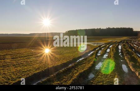 Paysage agricole rural tchèque. Champ avec rainure de tracteur de terre, forêt et reflet de coucher de soleil dans la flaque Banque D'Images