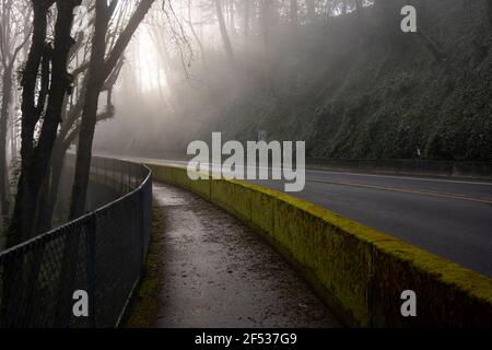 Trottoir humide le long de la route de la colline avec des rayons du soleil se brisant à travers le brouillard du matin en arrière-plan. Banque D'Images