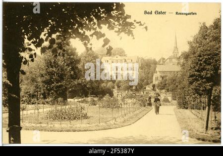 Rosengarten Bad Elster. Jardin de roses Banque D'Images