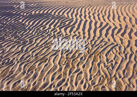 Des ondulations et des motifs réguliers laissés sur une plage de sable doré dans les tropiques faits par les vagues et la marée descendante. Banque D'Images