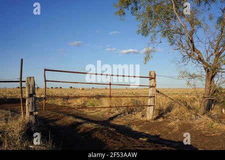 Une porte de ferme en métal rustique avec une voie menant à des balles de foin dans la distance. Banque D'Images