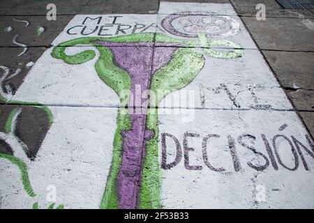 Une femme participe à une manifestation pour demander la décriminalisation de l'avortement est l'État du Mexique. Depuis mars 8, Journée internationale de la femme, le collectif Indómitas s'est campé devant le palais de justice pour tenter de tenir compte de leurs exigences par les autorités mexicaines. Le 23 mars 2021 à Toluca, Mexique. Photo par Amaresh V. Narro/Eyepix/ABACAPRESS.COM Banque D'Images