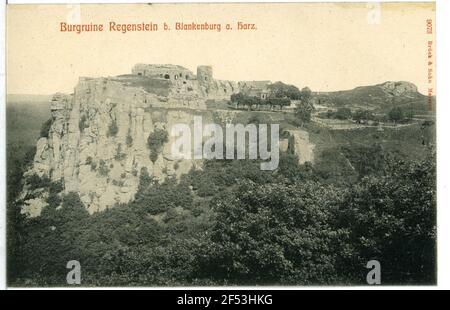 Les ruines du château de Burg Regenstein Banque D'Images