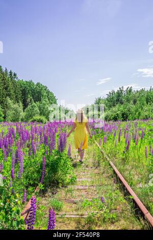 Femme blonde dans une robe jaune dans le champ lupin. Jour ensoleillé d'été. Concept détente, vacances, liberté. Banque D'Images