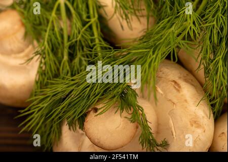 Jeunes champignons frais et aneth vert juteux sur la table. Mise au point sélective en gros plan. Banque D'Images