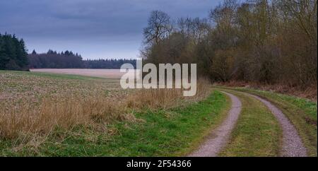 Une piste sinueuse pittoresque à travers les terres boisées et les champs, North Wessex Downs, AONB Banque D'Images