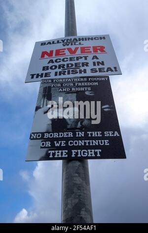 Posters loyalistes à l'extérieur de l'école secondaire Ballynahinch, contre une frontière en mer d'Irlande. Photo Mal McCann Banque D'Images