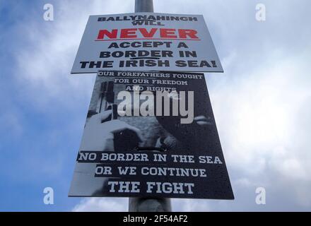 Posters loyalistes à l'extérieur de l'école secondaire Ballynahinch, contre une frontière en mer d'Irlande. Photo Mal McCann Banque D'Images