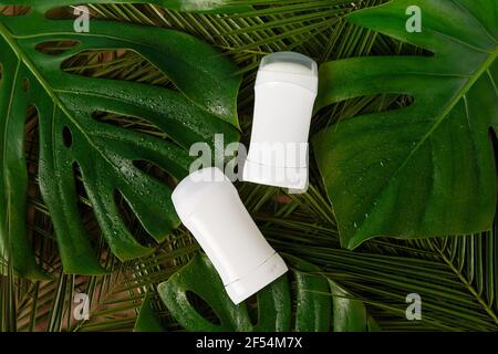 Déodorants ou antisudorifiques sur fond vert avec feuilles de palmier tropicales, modèle. Produits naturels de soins biologiques du corps, modèle Banque D'Images