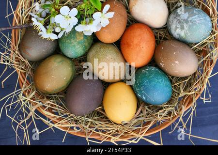 Oeufs de Pâques dans le nid de panier. Coloration naturelle des œufs. Banque D'Images