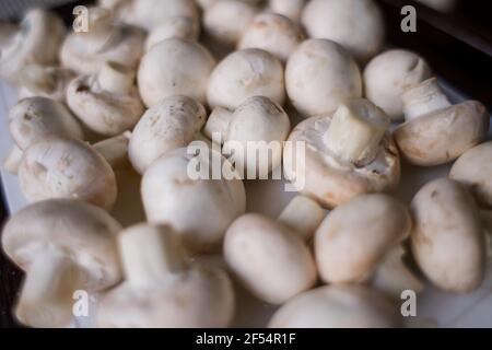 beaucoup de champignons sur la table Banque D'Images