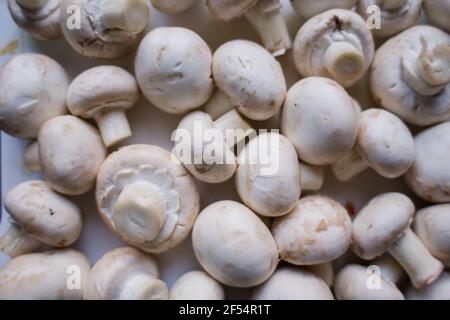 beaucoup de champignons sur la table Banque D'Images