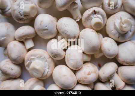 beaucoup de champignons sur la table Banque D'Images