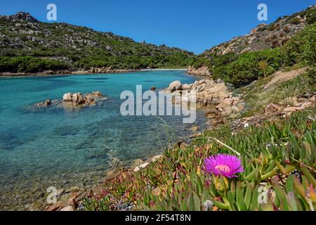 Géographie / voyage, Italie, Sardaigne, paysage la Maddalena, province de Sassari, Région Gallura, Italie, droits-supplémentaires-autorisation-Info-non-disponible Banque D'Images