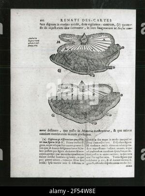 René Descartes (1596-1650). Le cerveau. Illustration de: Principia philosophophiae.Opera philosophia. Livre imprimé, 1692. Dresden Slub Phil.a.124, vol. II Banque D'Images