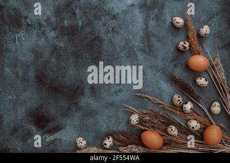 Œufs avec branches de roseaux dans l'obscurité. Flat Lay, vue de dessus. Composition de Pâques avec espace de copie Banque D'Images