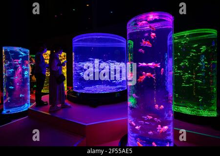 Tokyo, Japon. 24 mars 2021. Les gens visitent une exposition de poissons rouges au Musée de l'Aquarium d'Art à Tokyo, Japon, le 24 mars 2021. L'exposition est en vue du 6 mars au 9 mai. Credit: Christopher Jue/Xinhua/Alay Live News Banque D'Images