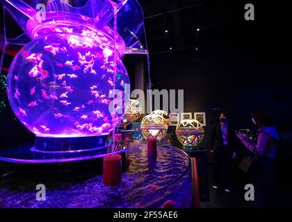 Tokyo, Japon. 24 mars 2021. Les gens visitent une exposition de poissons rouges au Musée de l'Aquarium d'Art à Tokyo, Japon, le 24 mars 2021. L'exposition est en vue du 6 mars au 9 mai. Credit: Christopher Jue/Xinhua/Alay Live News Banque D'Images