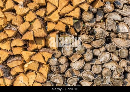 Bois de chauffage ancien et frais en comparaison Banque D'Images