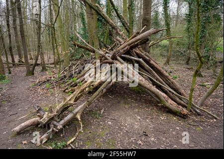 Une pile de grumes d'arbre empilées dans un style wigwam dans une forêt Banque D'Images