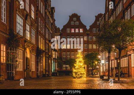 Allemagne, Hambourg, arbre de Noël sur Peterstrasse dans le quartier des compositeurs Banque D'Images