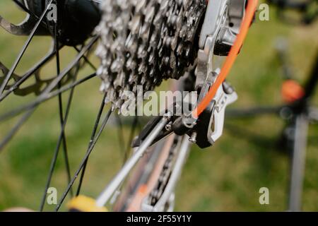 Gros plan d'un mécanicien de vélo avec un tournevis pour réparer un vélo Banque D'Images