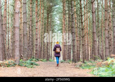 Femme avec sac à dos au milieu des arbres en forêt Banque D'Images