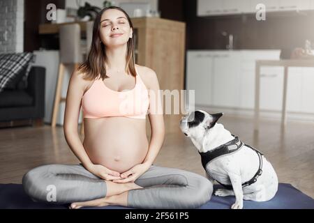 Mon entraîneur à quatre pattes garde un oeil sur moi. Prise de vue en intérieur d'une femme européenne enceinte attrayante et détendue dans des vêtements de sport élégants, souriant avec joie Banque D'Images