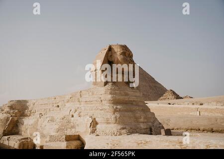 Égypte, le Caire, le Grand Sphinx de Gizeh Banque D'Images