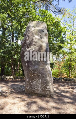 Le géant du Manio, le plus grand (à 6 mètres de haut) des plus de 3000 pierres sur pied de l'ère néolithique à Carnac, Bretagne, France Banque D'Images