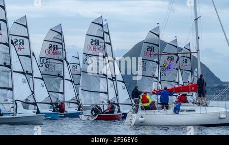 Dinghies de voile en compétition dans la régate annuelle du East Lothian Yacht Club, North Berwick Banque D'Images