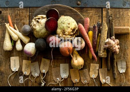 Légumes d'hiver sur fond de bois rustique Banque D'Images