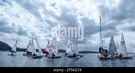 Dinghies de voile en compétition dans la régate annuelle du East Lothian Yacht Club, North Berwick Banque D'Images