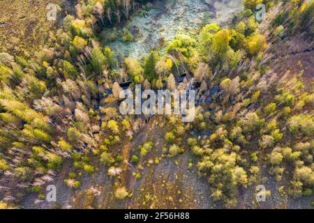 Allemagne, Bavière, Konigsdorf, vue aérienne de la forêt Banque D'Images