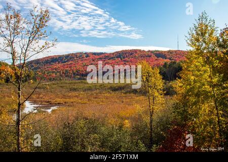 Des nuages blancs plus sombres dans un ciel bleu vif au-dessus du Collines de Gatineau en automne Banque D'Images