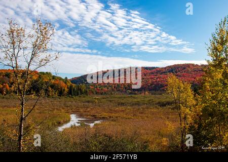 Des nuages blancs plus sombres dans un ciel bleu vif au-dessus du Collines de Gatineau en automne Banque D'Images