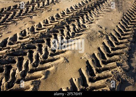 Tracteur marques de pneus sur le sable de plage à Mahabalipuram. Impression pneu d'un véhicule. Banque D'Images