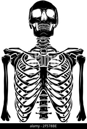 Silhouette noire du squelette humain sur l'illustration vectorielle d'arrière-plan blanc Illustration de Vecteur