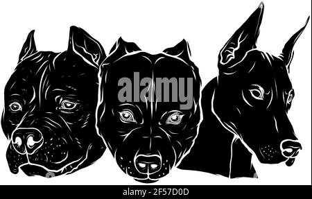 Silhouette noire de têtes de chiens Pitbull dobermann bulldog vector Illustration de Vecteur