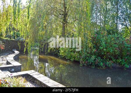 Étang d'eau dans le parc d'Adare d'Adare, comté de Limerick, Irlande Banque D'Images