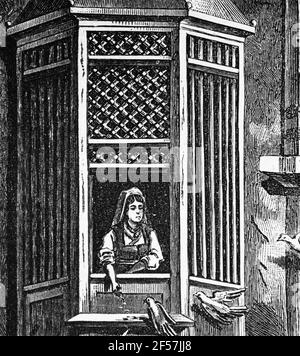 Femmes regardant par une fenêtre d'un harem turc et les pigeons nourrissant, Turquie, Asie, gravure de bois, Wien. Leipzig 1881 Banque D'Images