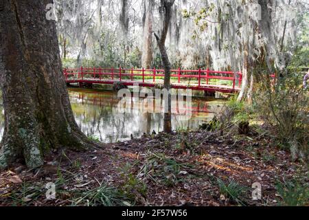 Passerelle en bois rouge au-dessus d'un marécage de blackwater entouré par la mousse espagnole à la plantation Magnolia dans le pays bas de Charleston, Caroline du Sud. Banque D'Images