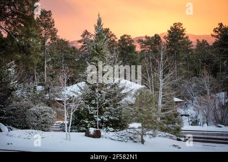 Belle neige après une tempête dans les montagnes de Prescott, Arizona dans une communauté locale Banque D'Images