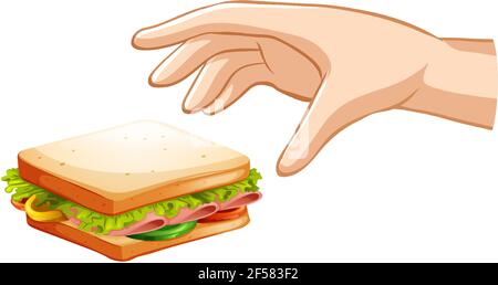 Main essayant de prendre le sandwich sur fond blanc illustration Illustration de Vecteur