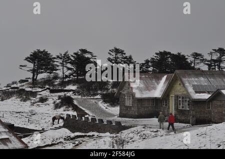 Chalet alpin pins et route couverte de neige Village isolé de Darjeeling Banque D'Images