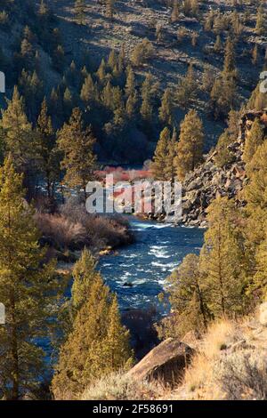 Rivière Deschutes Wild & Scenic au départ de Foley Waters Trail, zone d'étude de la nature sauvage des chutes Steelhead, Oregon Banque D'Images